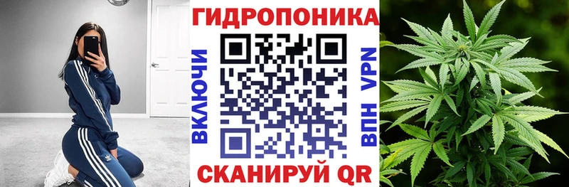 Где купить наркотики Тихвин A-PVP Амфетамин Гашиш Каннабис МЕФ