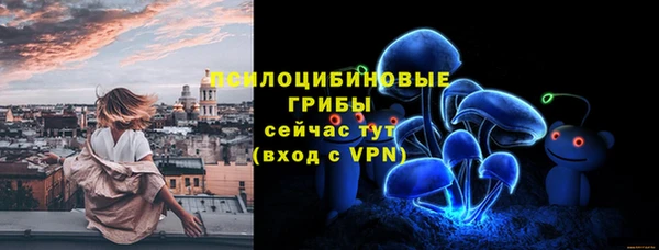 а пвп мука Армянск