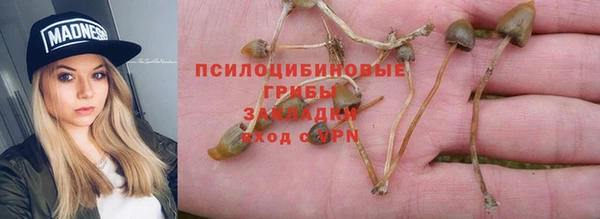 ГАЛЛЮЦИНОГЕННЫЕ ГРИБЫ Алексин
