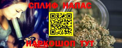 прущие грибы Пыть-Ях