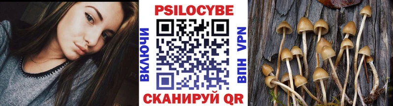 Псилоцибиновые грибы Cubensis  Тихвин 