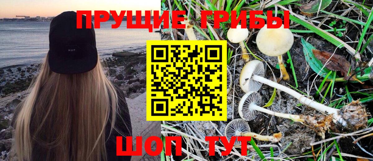 Псилоцибиновые грибы Magic Shrooms Тихвин
