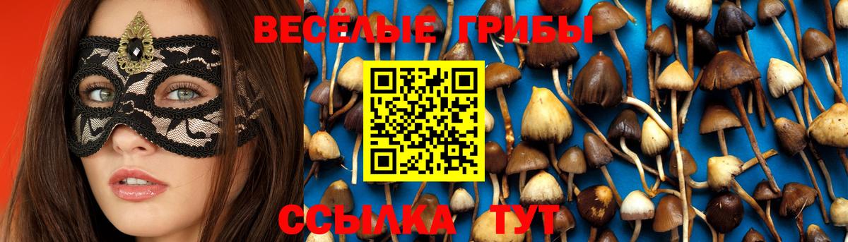 Псилоцибиновые грибы ЛСД  Вход с VPN  Псилоцибиновые грибы прущие грибы  Тихвин 